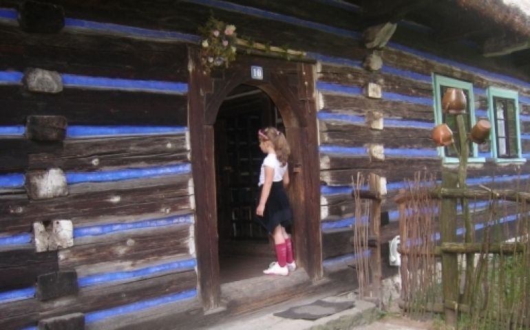 Skansen i Zamek w Lipowcu
